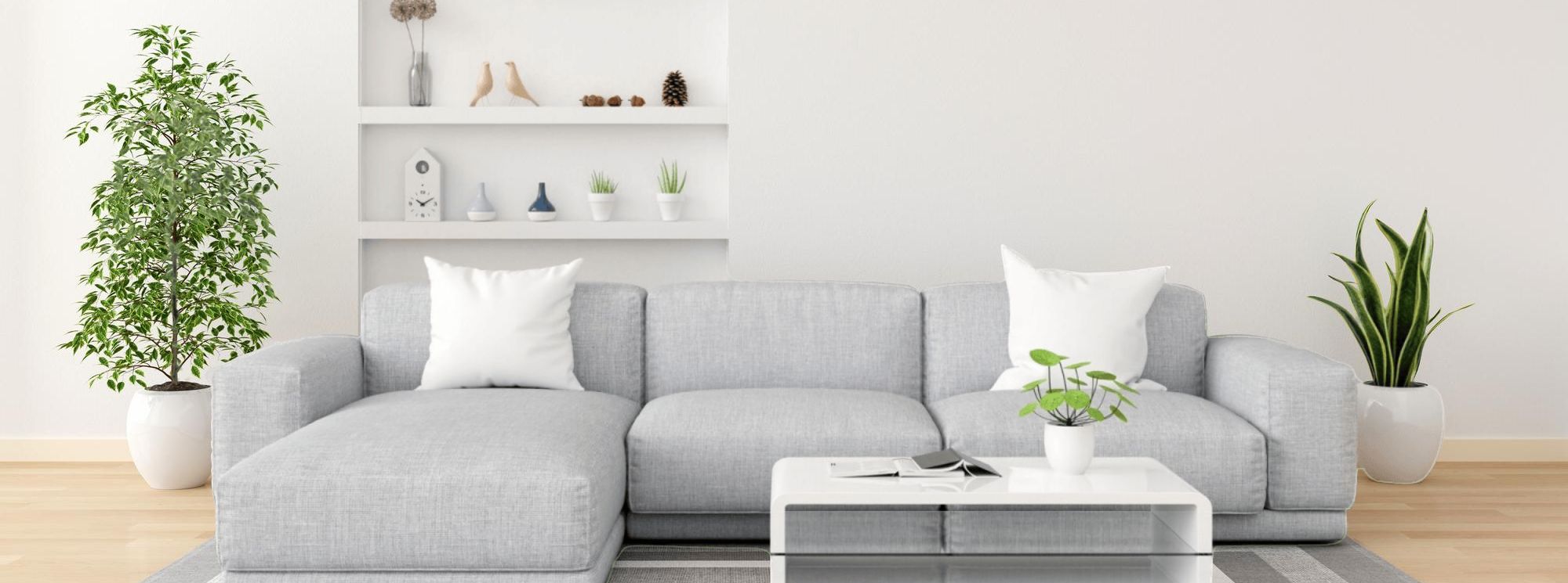Your Properties Solution Expert